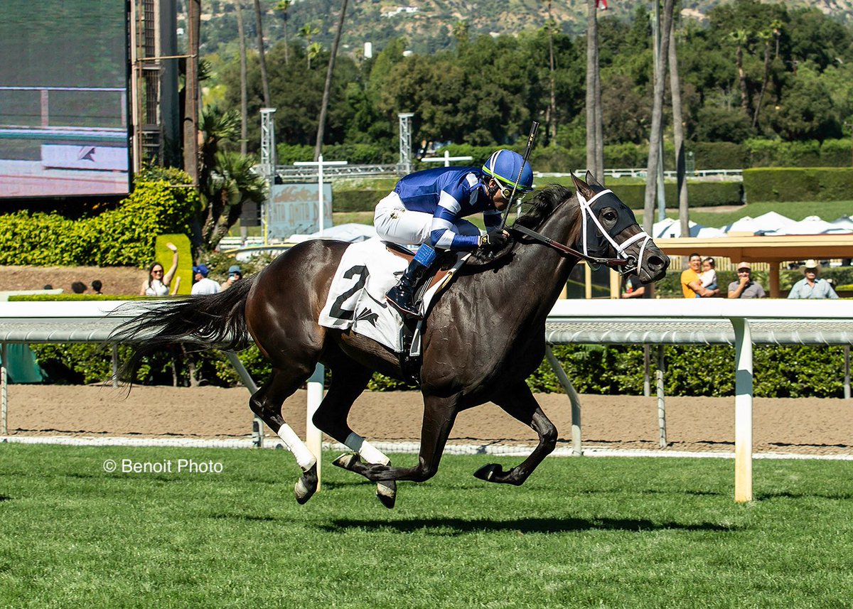 benoitphoto_'s tweet photo. Amerman Racing's Counterbalance and jockey Kazushi Kimura win the $100,000 China Doll Stakes, Sunday, March 8, 2026 at Santa Anita Park, Arcadia CA.

View all our photos at https://t.co/GRX92DKjLs 

© BENOIT PHOTO https://t.co/yTosB60fkd