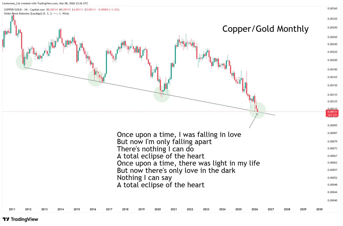 Cantonese Cat 🐱🐈 tweet media