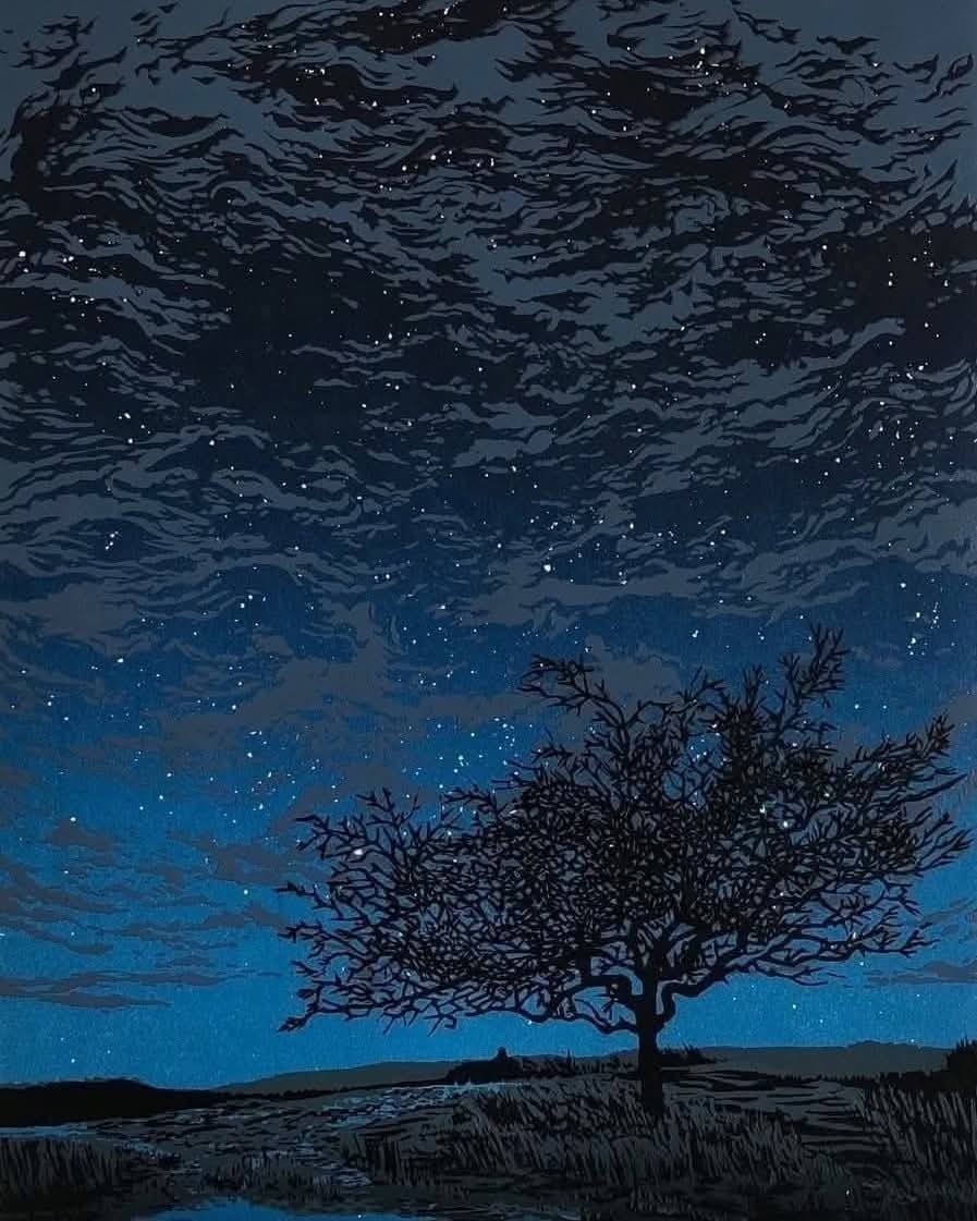 Into The Forest Dark tweet media