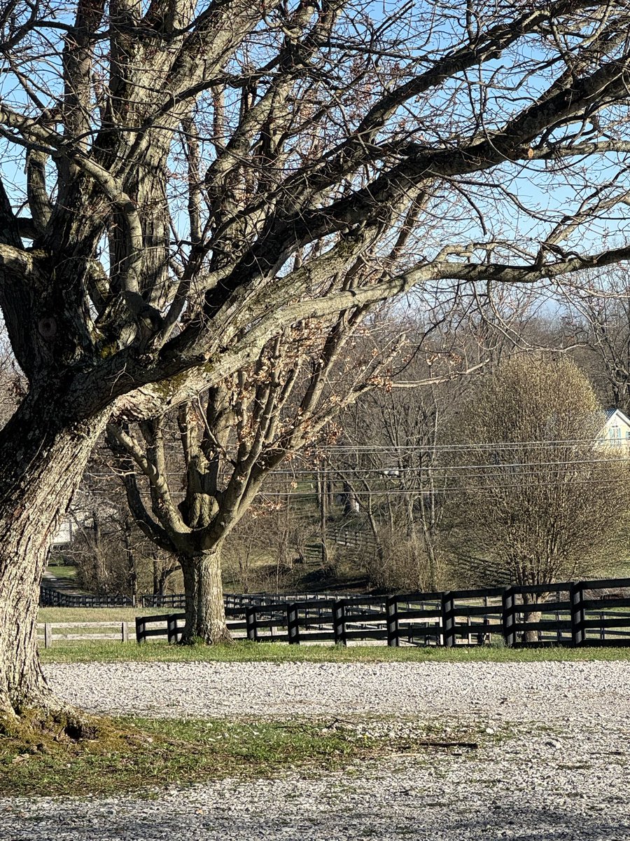 Michelle tweet media