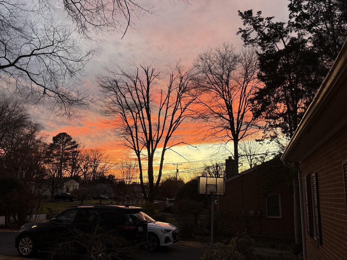 Stephanie Vatalaro tweet media