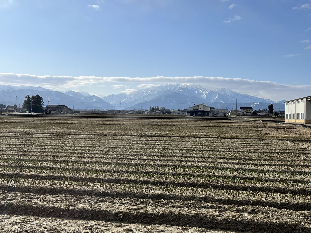 🌷にゅうぜんフラワーロード🌷 tweet media