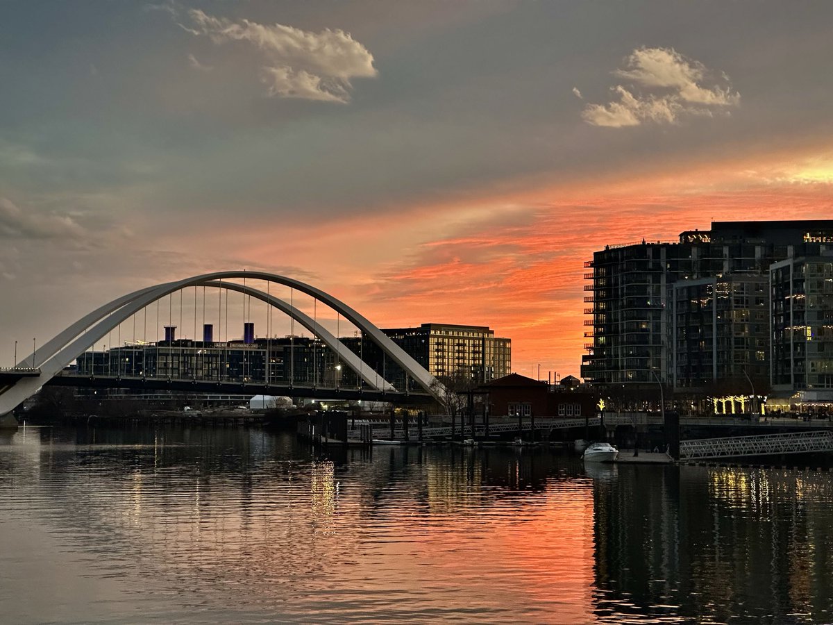 Maureen Cohen Harrington tweet media