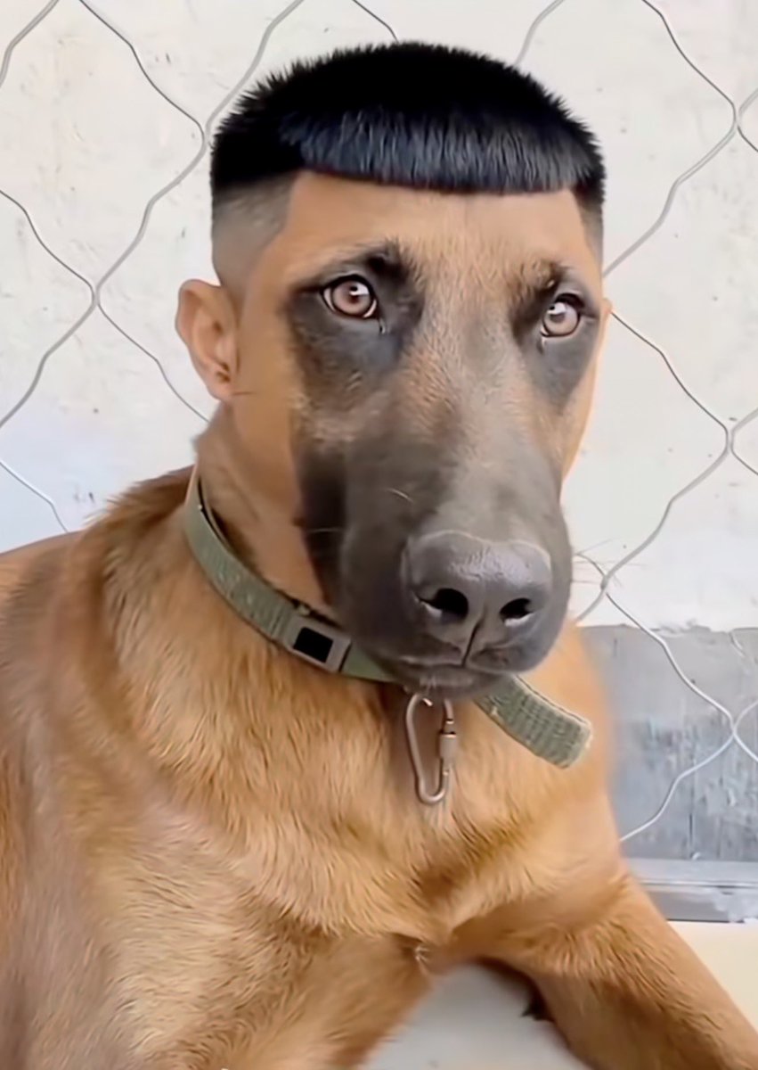 بدر الحجرف tweet media