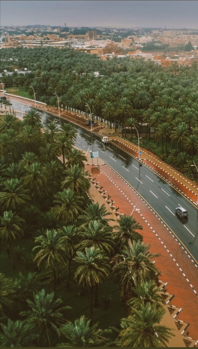 سلمان الغفيص📸 tweet media