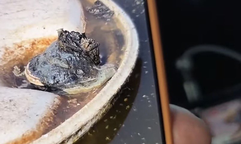 PNWSteph tweet media