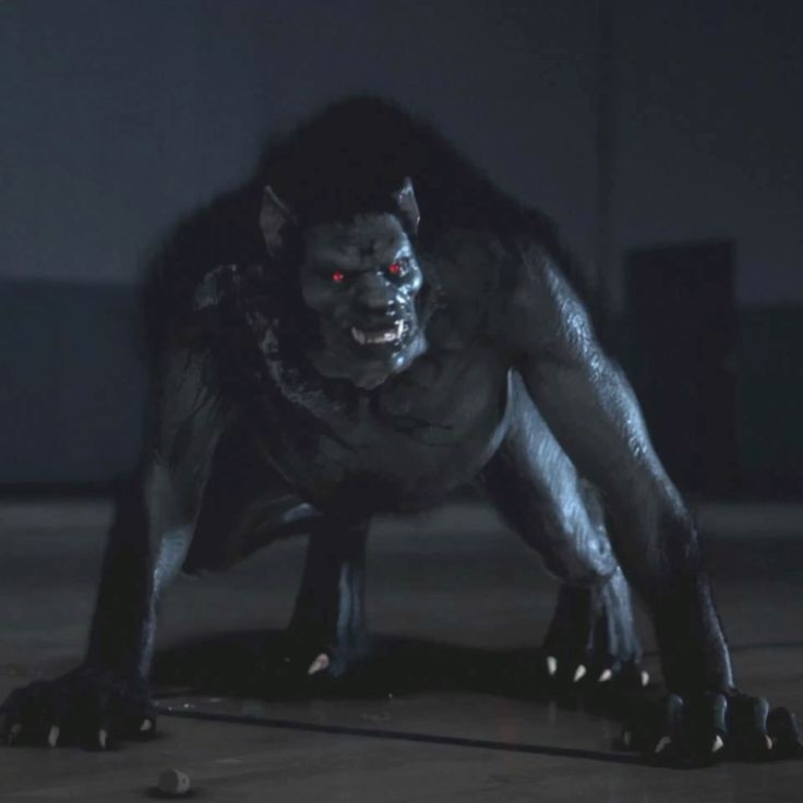 anabbyz's tweet image. como explicar aos novos fãs de teen wolf que sao a mesma pessoa #TeenWolf