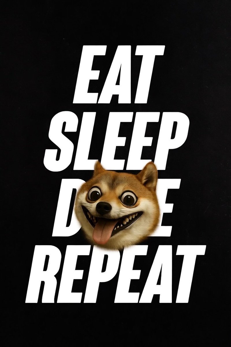 ÐOGECAPITAL tweet media