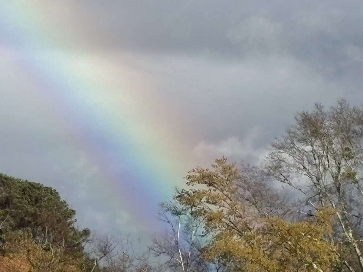 camerhound's tweet photo. @spann https://t.co/0FCDHXqlfh