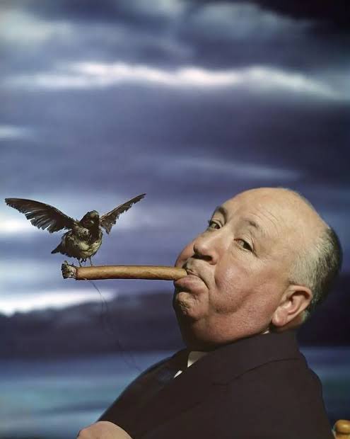 thomas hobbs - freelance culture journalist tweet media