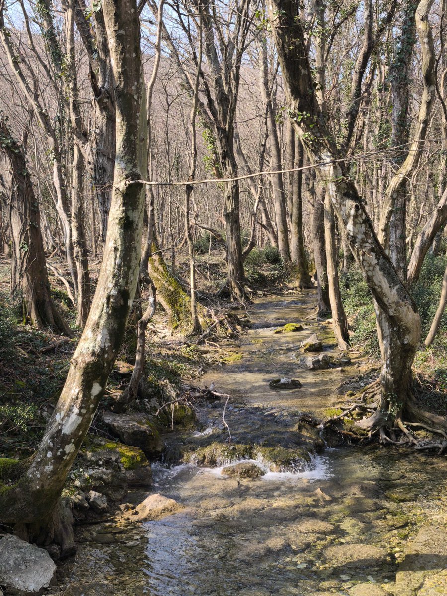 Petar Pero tweet media