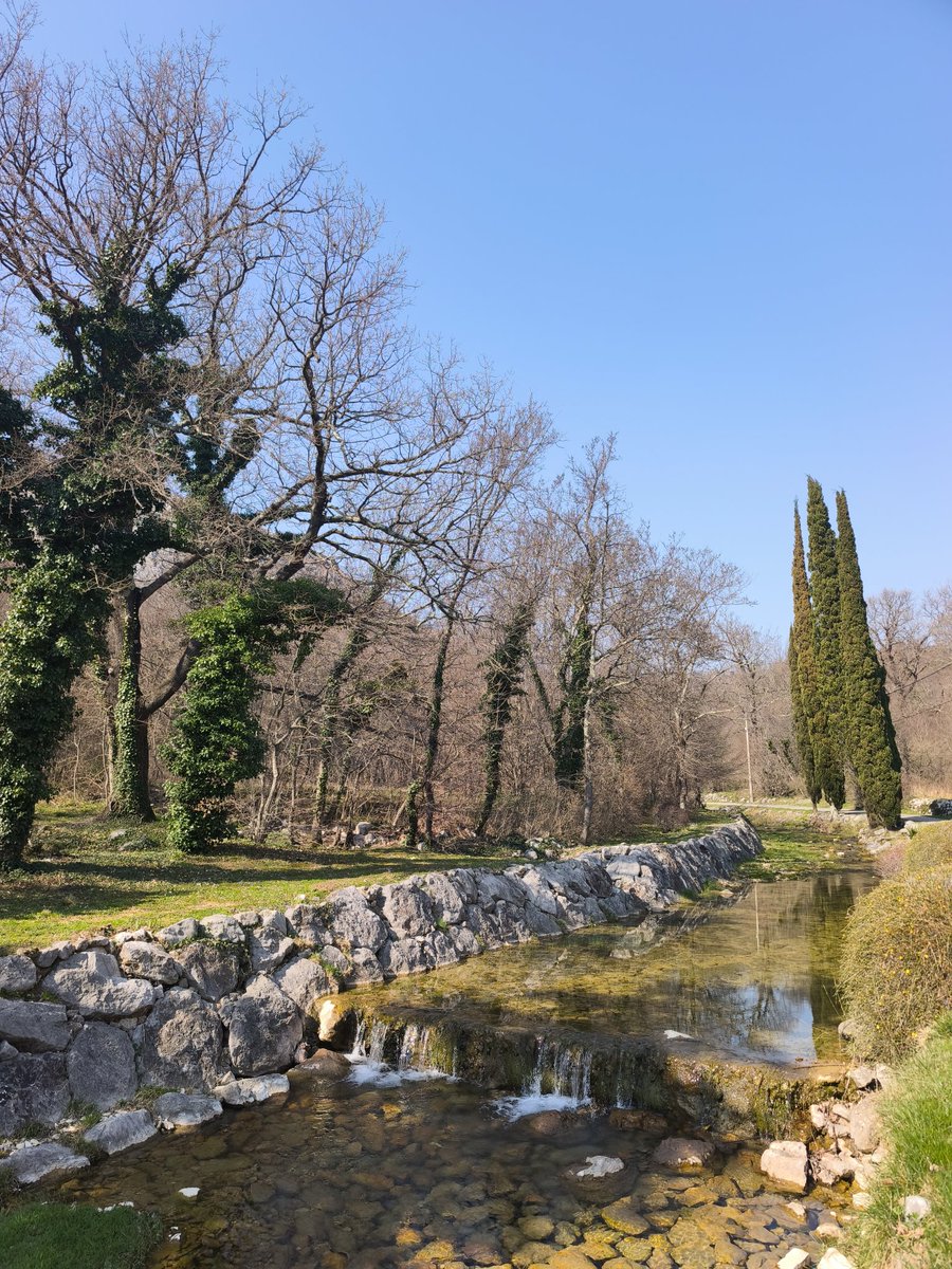 Petar Pero tweet media