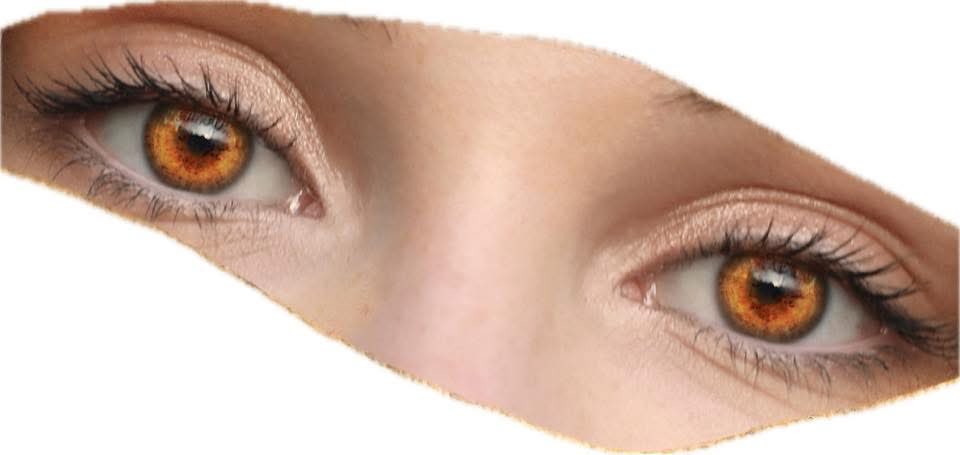 Gary Wayne tweet media