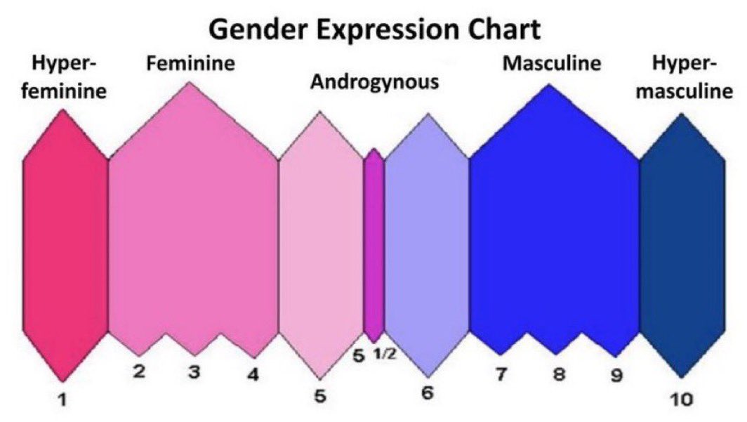 Shamily / Vesti ✧˖° tweet media