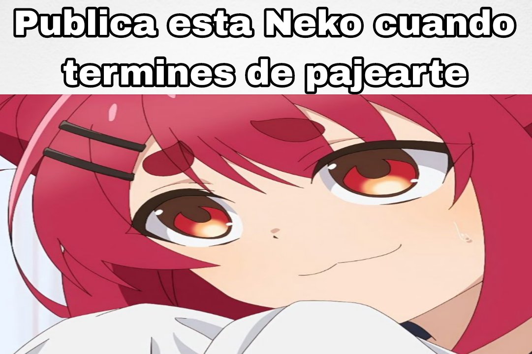 Neko de River 🐔🇮🇩 tweet media
