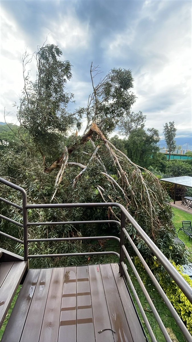 PabloLo25394946's tweet photo. @ObrasQuito @MunicipioQuito Buenas noches municipio por favor si nos pueden ayudar es un árbol que desde el área pública cayó sobre nuestro predio causando daños materiales https://t.co/2MaAhkCHHa