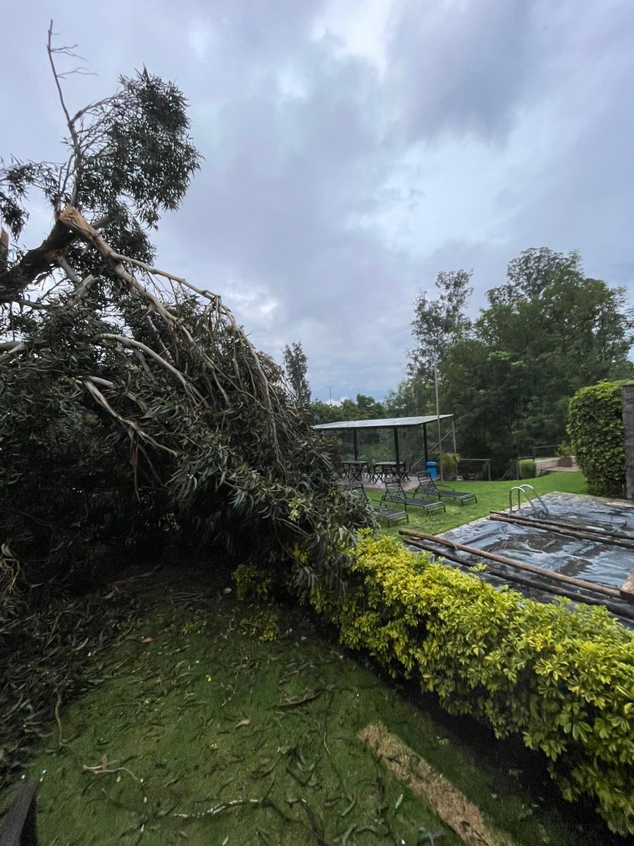 PabloLo25394946's tweet photo. @ObrasQuito @MunicipioQuito Buenas noches municipio por favor si nos pueden ayudar es un árbol que desde el área pública cayó sobre nuestro predio causando daños materiales https://t.co/2MaAhkCHHa