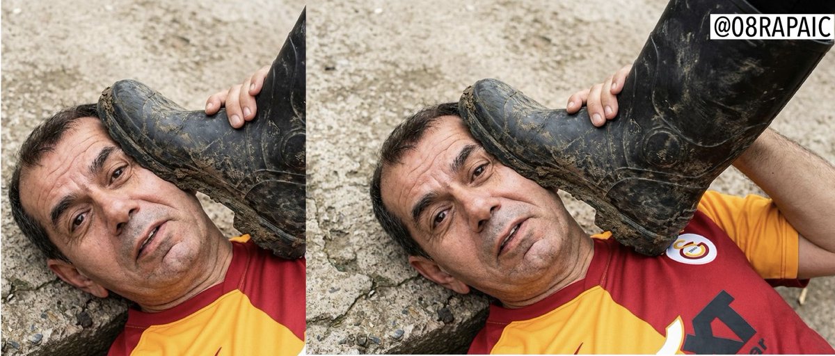 Esin Rapaić tweet media