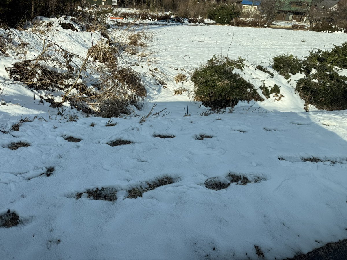 無事に鳥取🚗💨

雪…笑

寒い🥶
