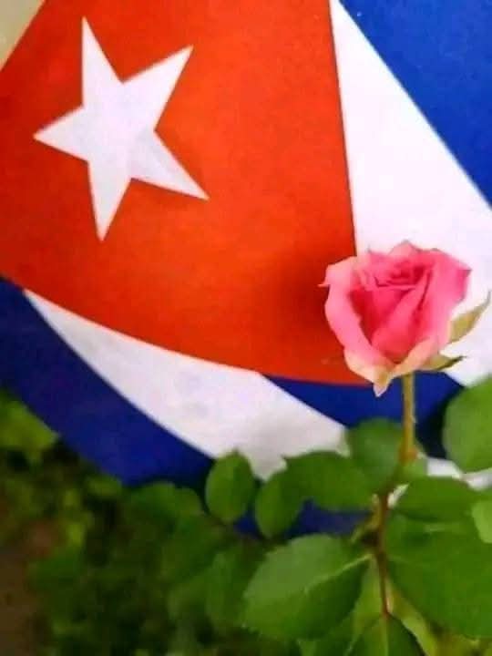 Antonio Rodríguez Rodríguez tweet media