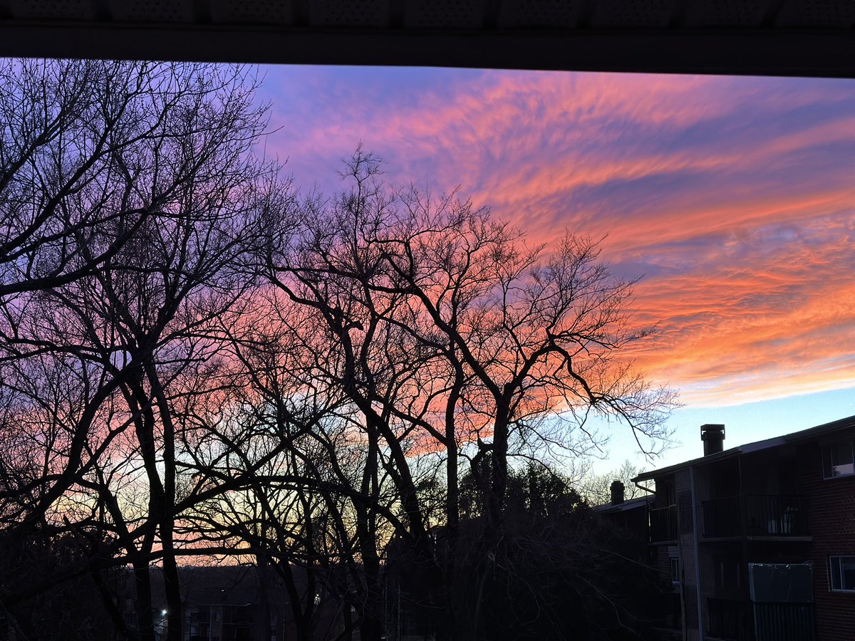 تسنيم tweet media