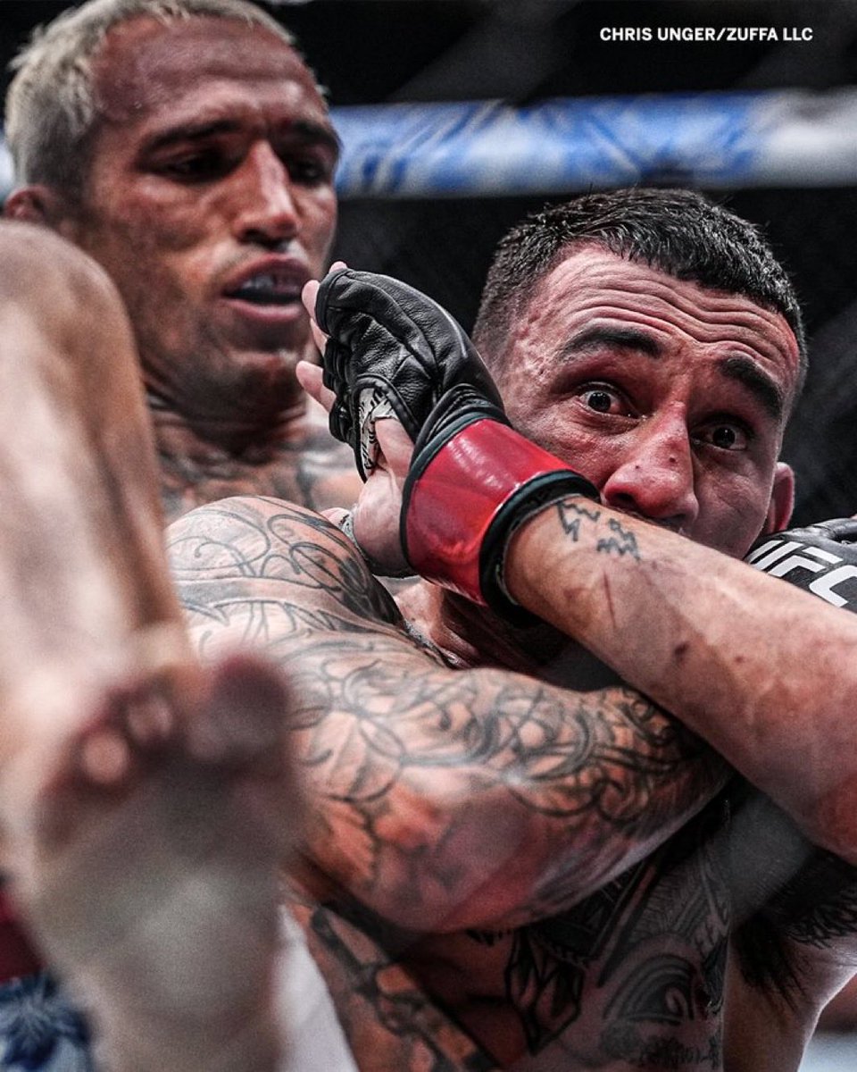 Marcelo 🇧🇷 tweet media