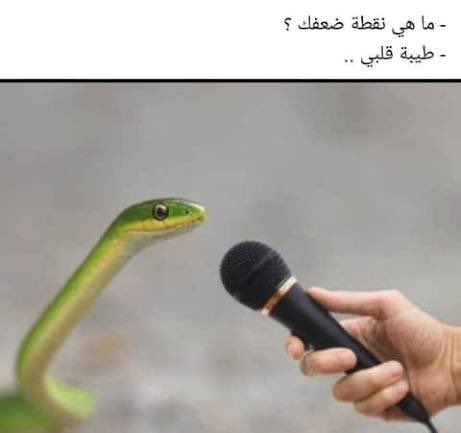 أَسِيـلا tweet media