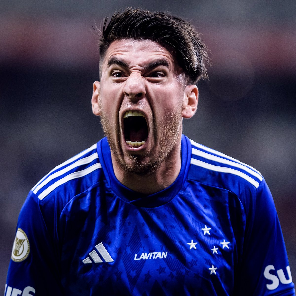 Cavalinho do Cruzeiro tweet media