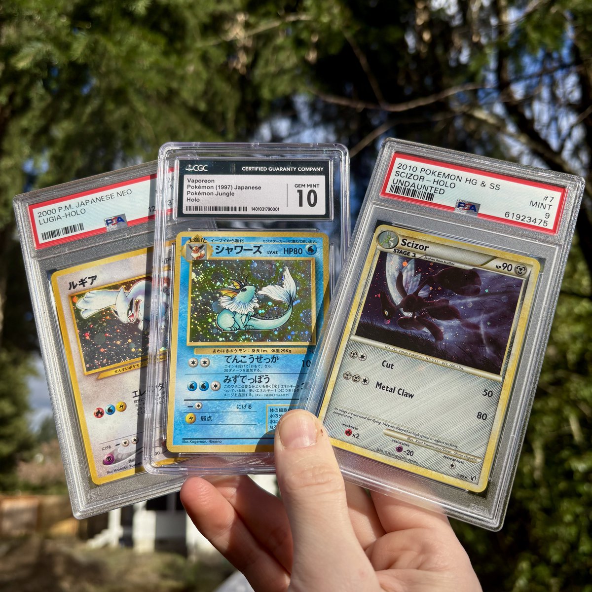 DachshundWizard 🧙♂️ tweet media