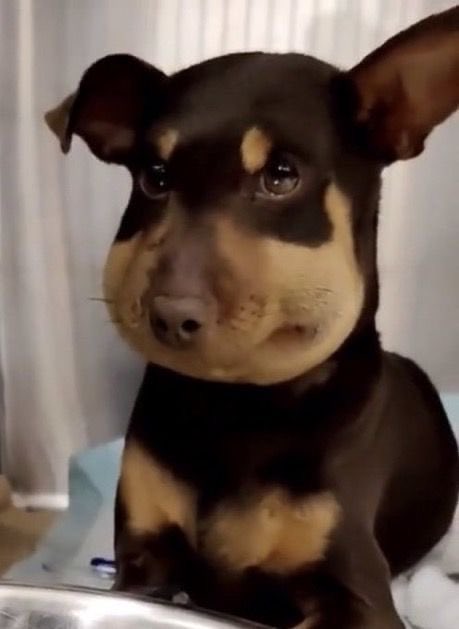 4 days after double jaw surgery and im still recovering im going to make more art when im back