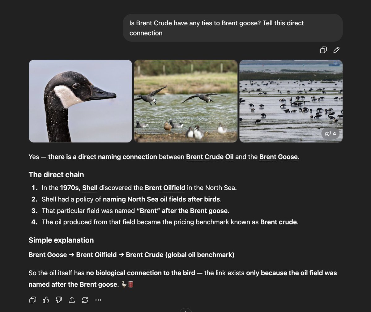 You can ask CHATGPT, I think this is a cool narrative for an Oil x Animal connection

Yes — there is a direct naming connection between Brent Crude Oil and the Brent Goose.

The direct chain

In the 1970s, Shell discovered the Brent Oilfield in the North Sea.

Shell had a policy