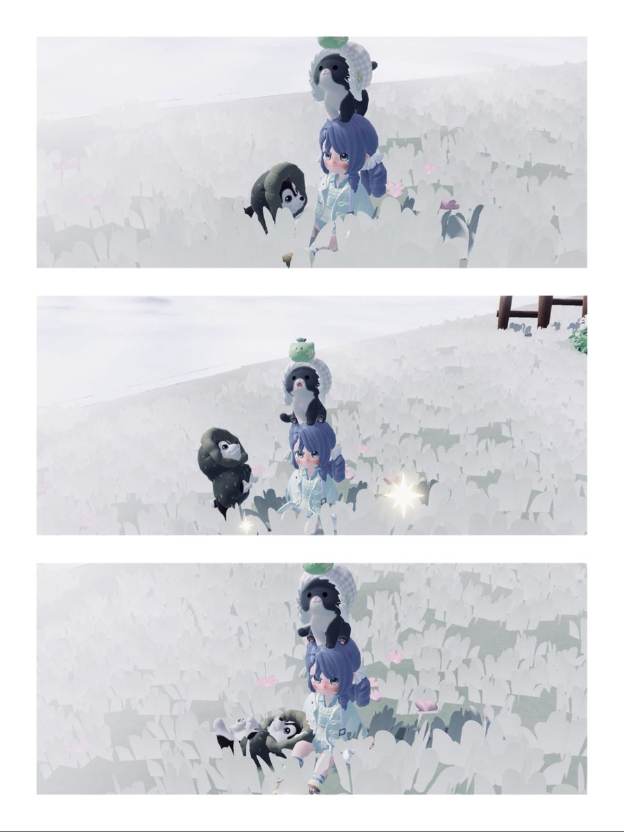 𝗌𝖺𝗍𝗈 tweet media