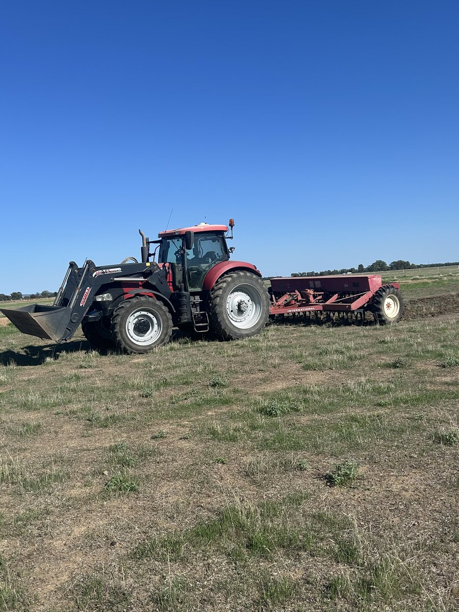 Luke Milgate tweet media