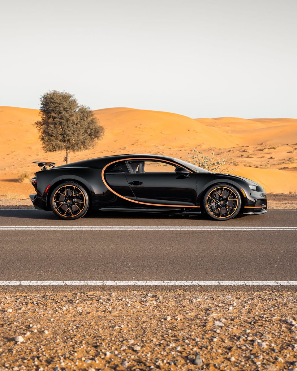 COMPETITION tweet media