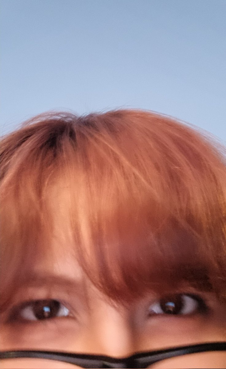 Mi fleco odia ir en moto...