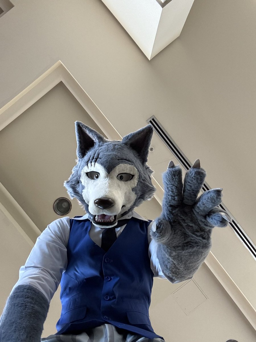Moose (Differmitt) 🔜 FWA???? tweet media