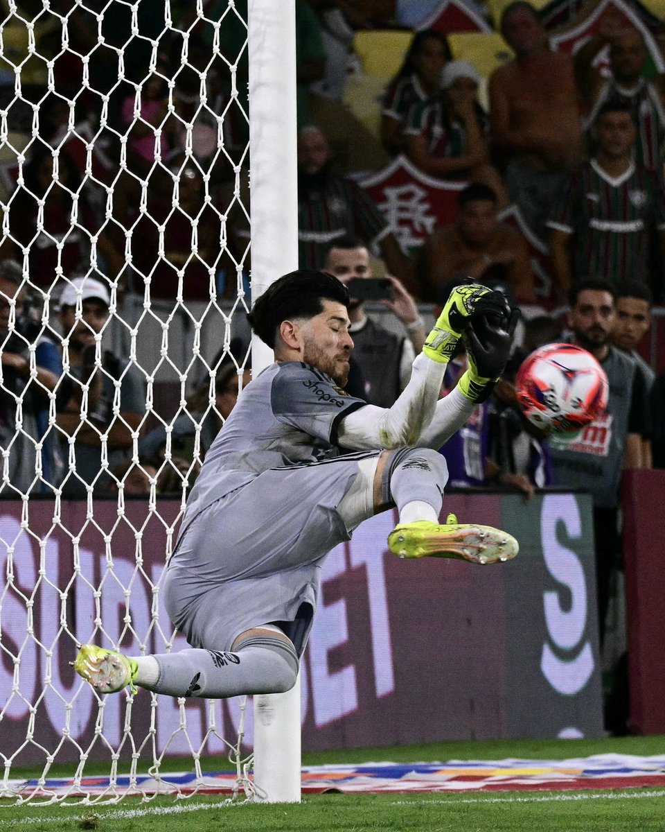 FL4MEN9O tweet media