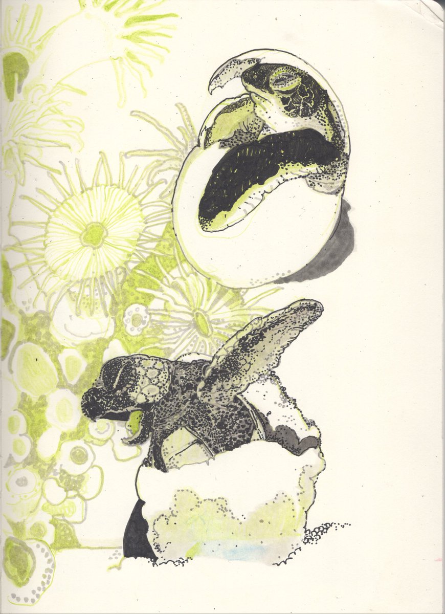 채소(chae-so) tweet media