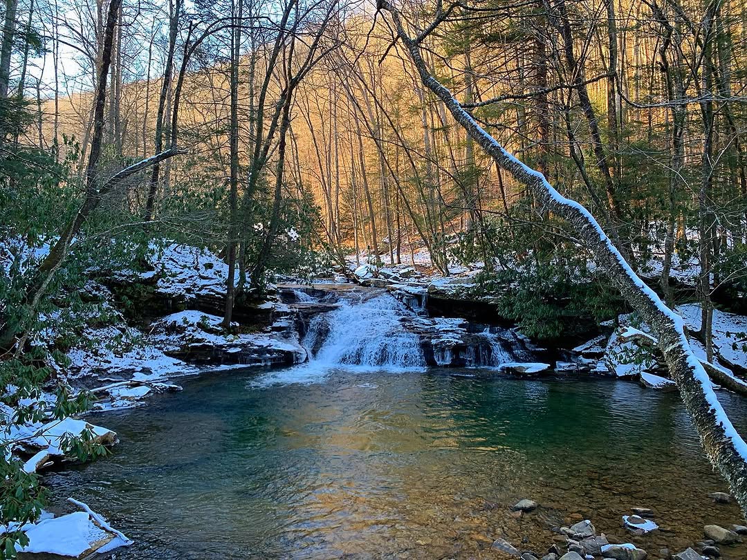 WV State Parks tweet media