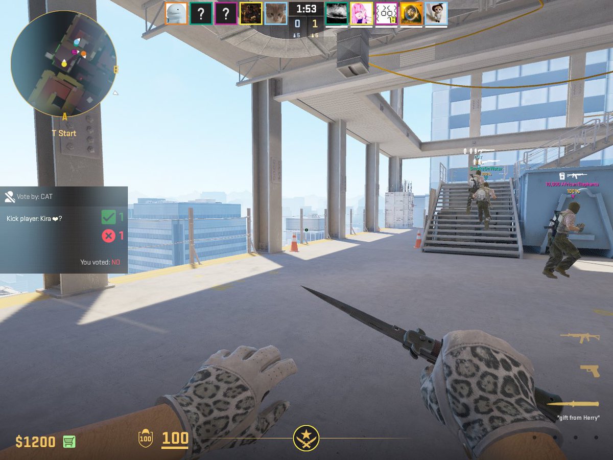 Luana🇵🇹 tweet media