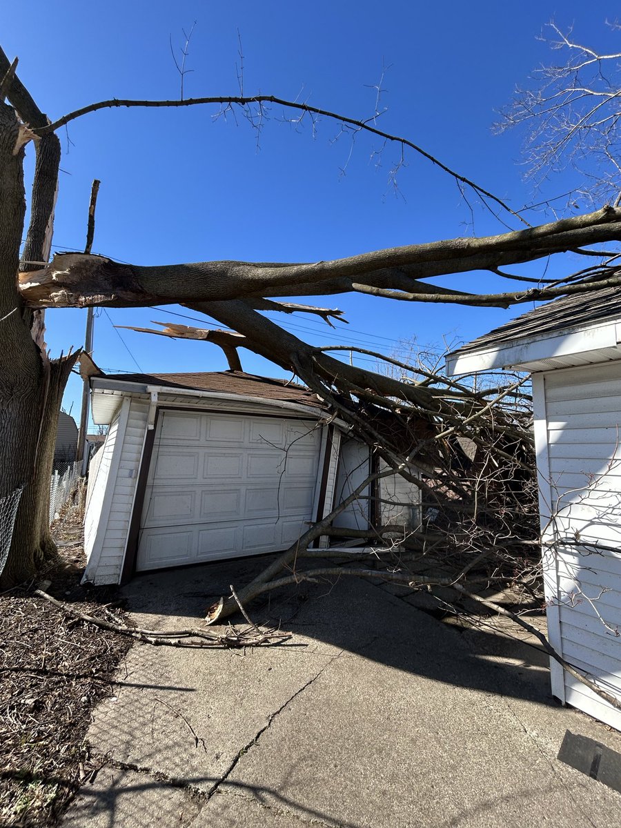 First Response Team tweet media