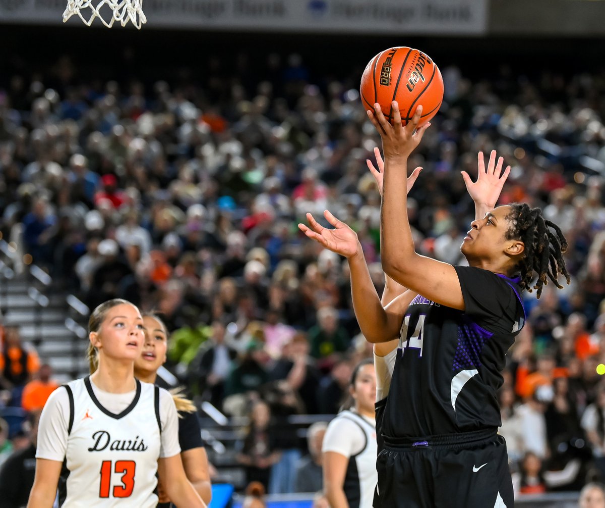 Sumner News Index tweet media