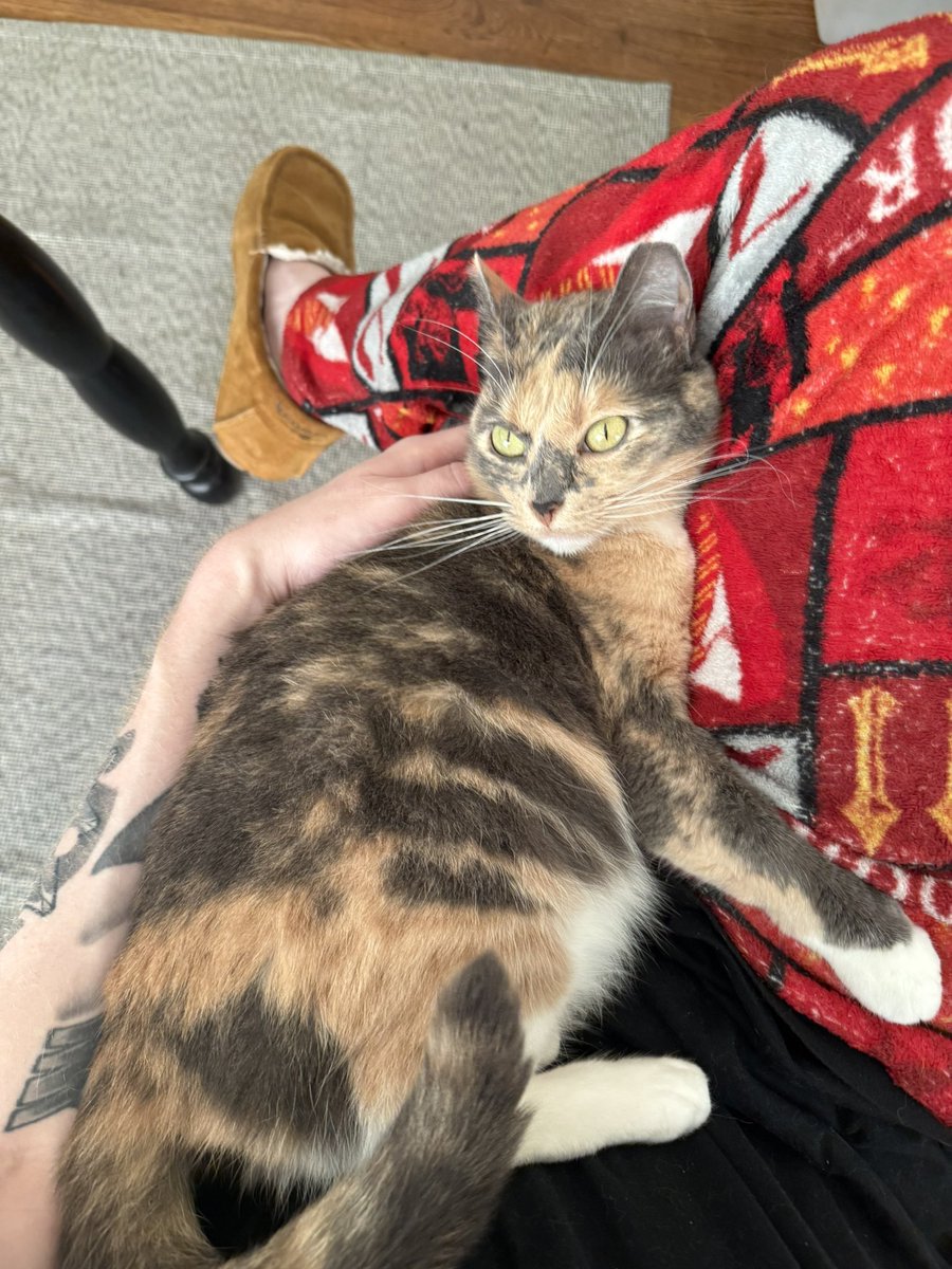 i was trying to pack and she was not having it