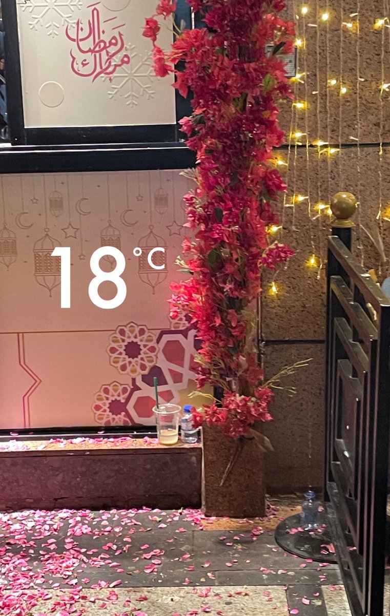 الحمدلله كثيرًا💕