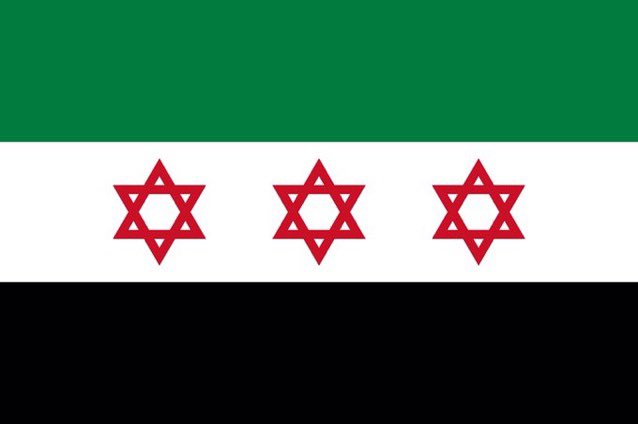 🇵🇸 tweet media