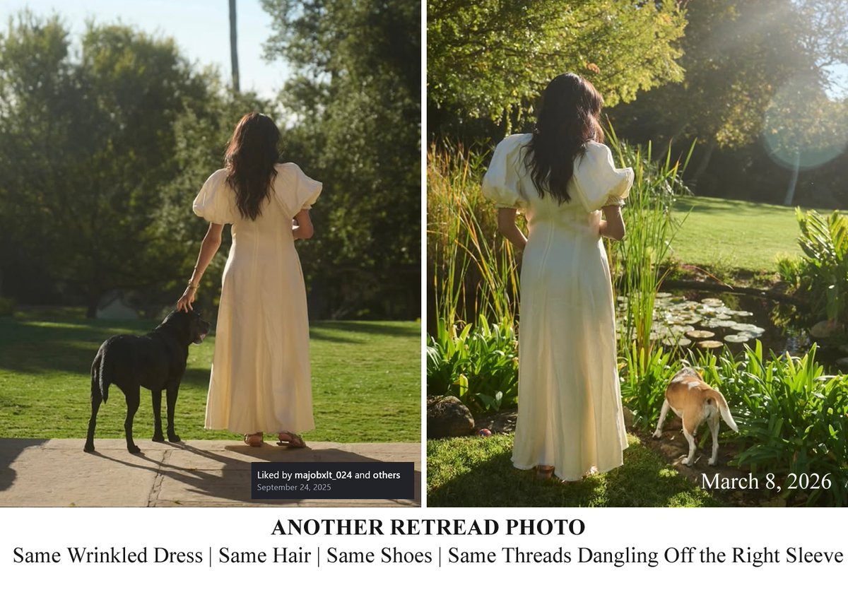 DuchessOfVulgarity Meghan Markle is desperate to be an icon like the late Princess  Diana but failing terribly.  You're too old for see through clothing  Meghan.