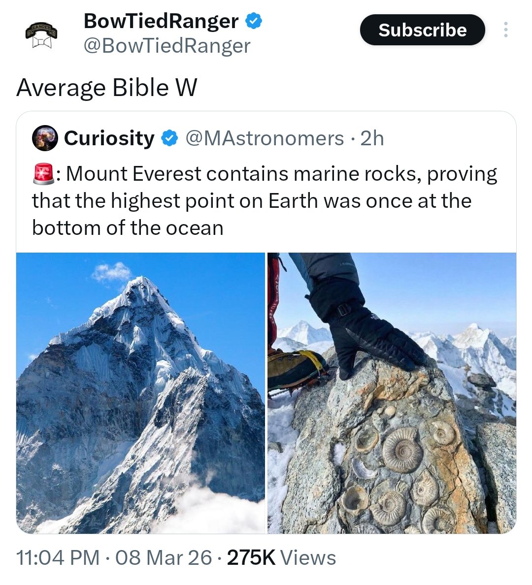 Nikolaj🇺🇦🇵🇸 tweet media