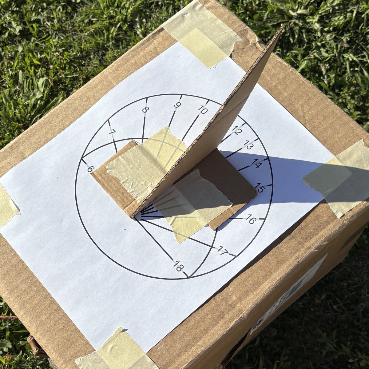 Mystic Rose tweet media