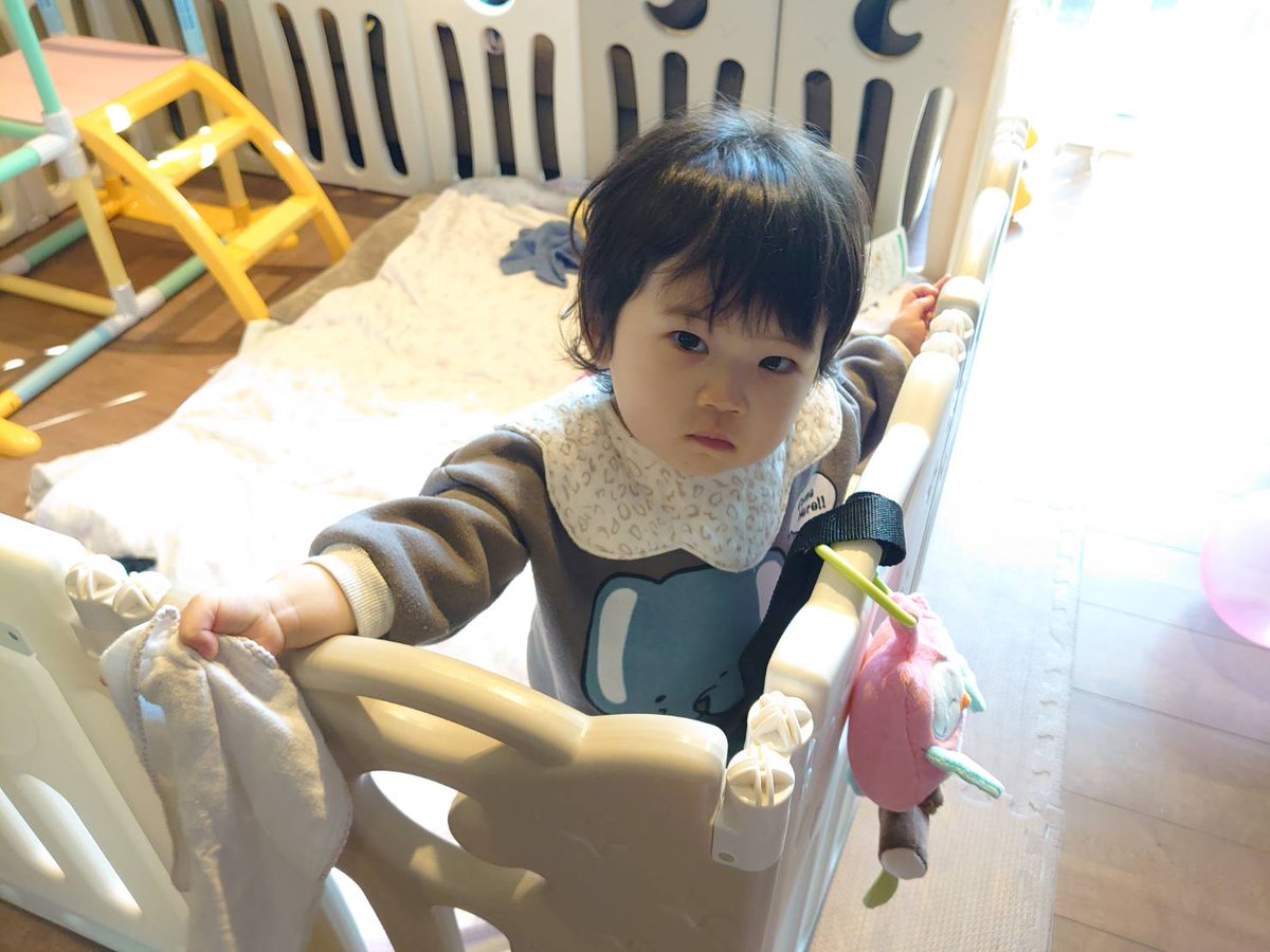 limit1221's tweet photo. 鳥の次に大好きなゾウさんに会えたら大喜びすると思ったけど想像よりデカすぎて『…ぞんたん！？…』って言って固まってた長女 https://t.co/YSBZIrUrxs