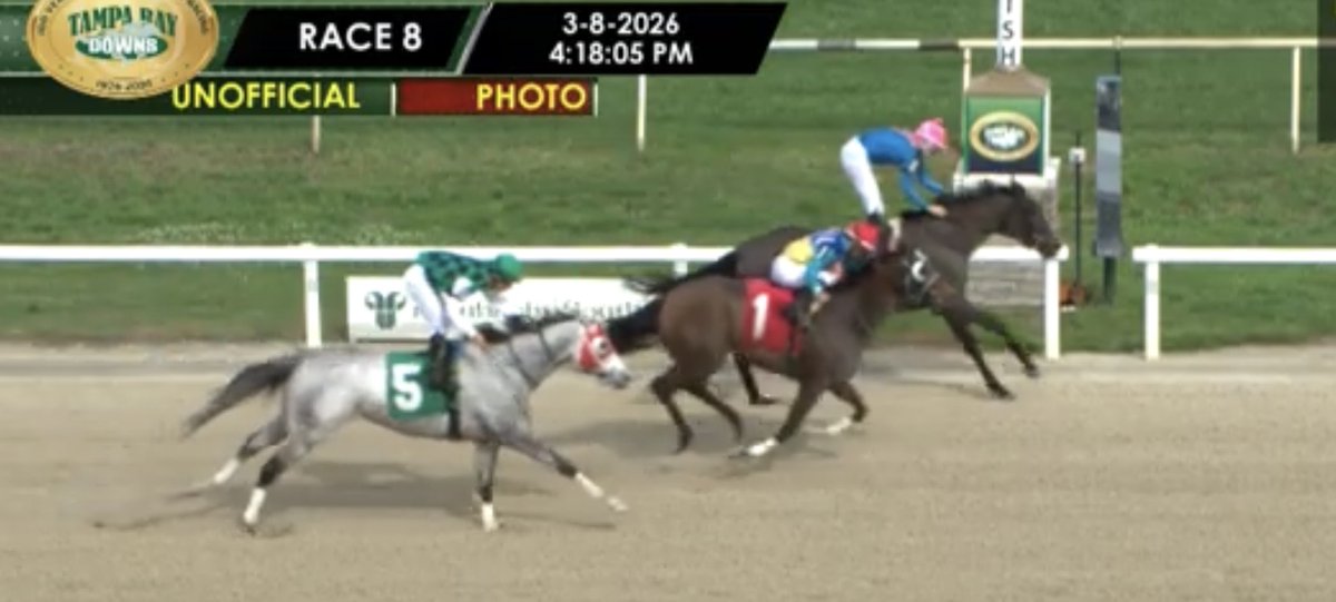 MJM Stable tweet media